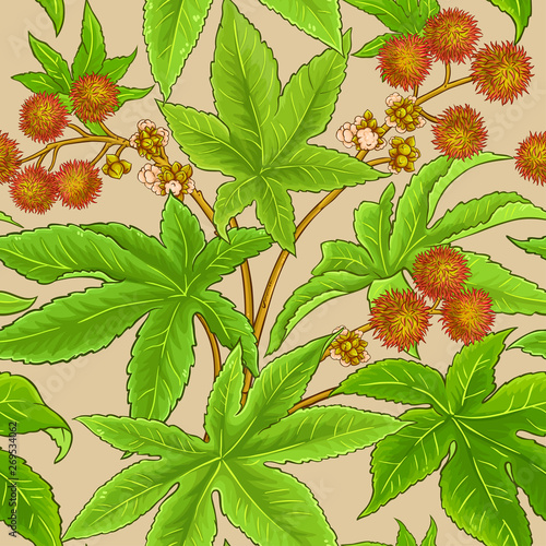 castor vector pattern