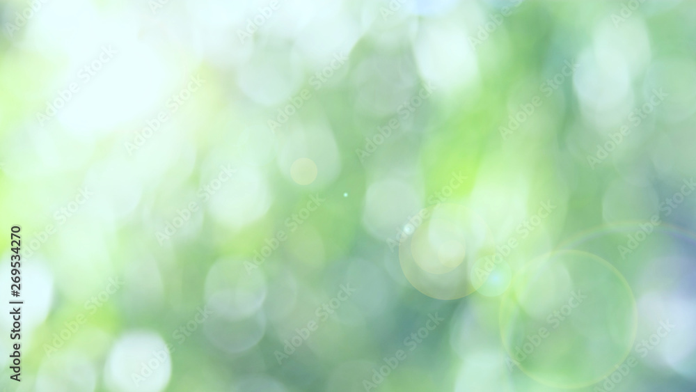 Sunlight green bio background, abstract blurred foliage sun light. Organic design nature abstract background with copyspace for text advertising design. Blur nature image in sunshine and bokeh effect Sunlight green bio background, abstract blurred foliage sun light. Organic design nature abstract background with copyspace for text advertising design. Blur nature image in sunshine and bokeh effect