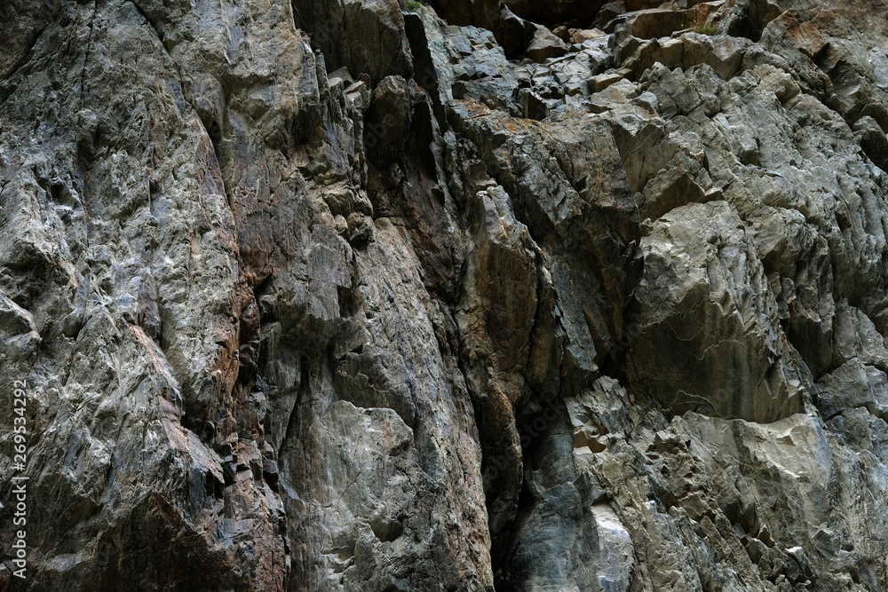 The texture of the background of the rocky slope. Natural nature. Close-up.