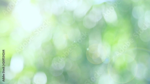 Green bio background, abstract blurred foliage bright sunlight. Organic design nature abstract background with copyspace for text advertising design. Green abstract light background and bokeh effect