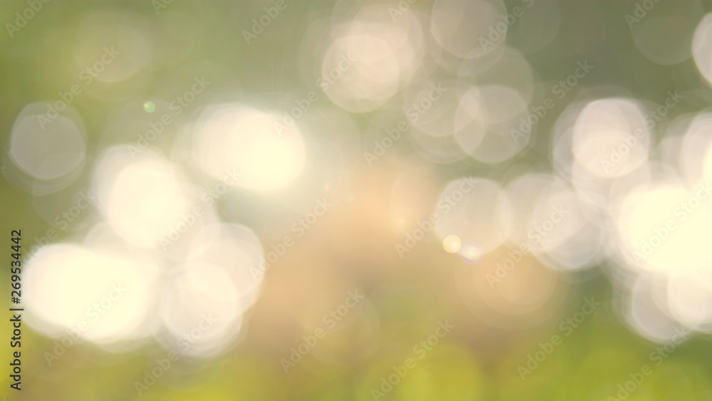 Obraz premium Nature yellow bokeh sun light flare and blur leaf abstract texture background, blurred natural green leaves yellow background. Stock image of bokeh light from the sun through the leaves with copyspace