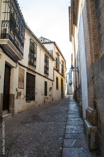 Fototapeta Naklejka Na Ścianę i Meble -  路地/Cordoba, Spain