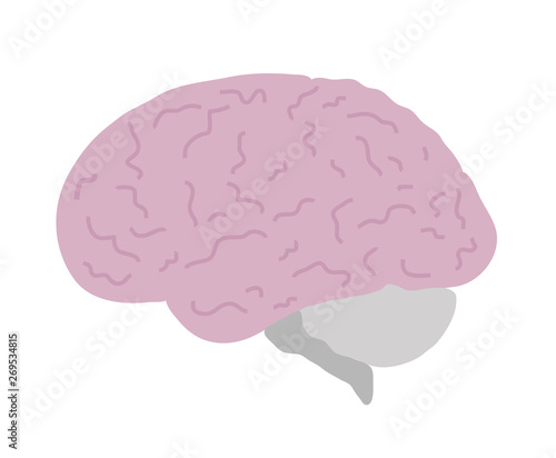 Brain on a white background. Medicine and psychology. Vector illustration. 