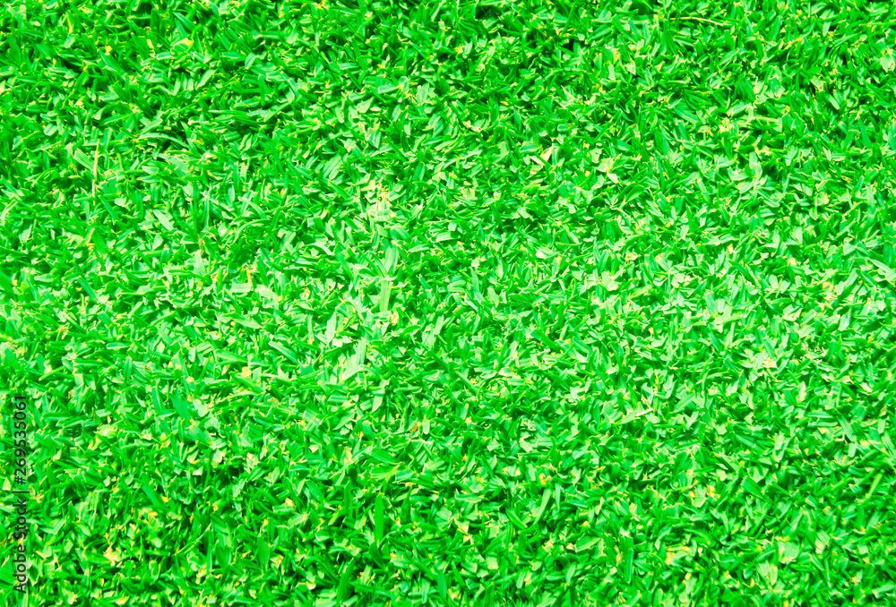 lawn lawn