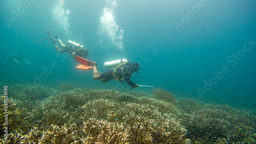 Underwater photography of the coral reef in Raja Ampat, Indonesia, the golden triangle. west papua.