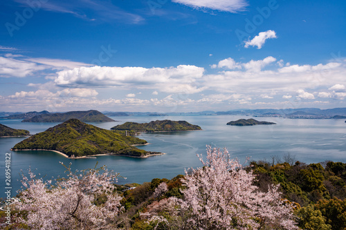 Cherry blossom with blue sky, sea and islands