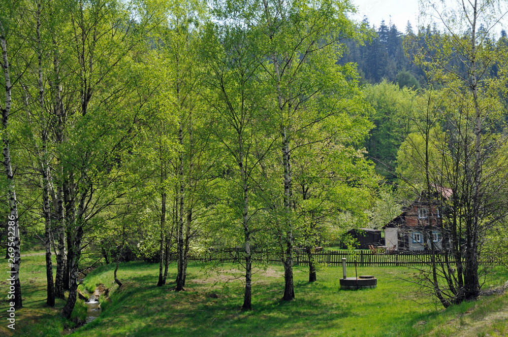 Naklejka premium wiesenlandschaft im zittauer gebirge