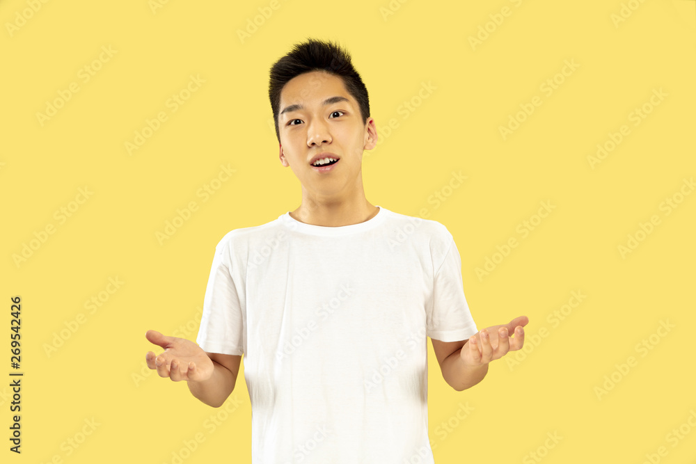 Korean young man's half-length portrait on yellow studio background. Male model in white shirt. Smiling and inviting. Concept of human emotions, facial expression. Front view. Trendy colors. Korean young man's half-length portrait on yellow studio background. Male model in white shirt. Smiling and inviting. Concept of human emotions, facial expression. Front view. Trendy colors.