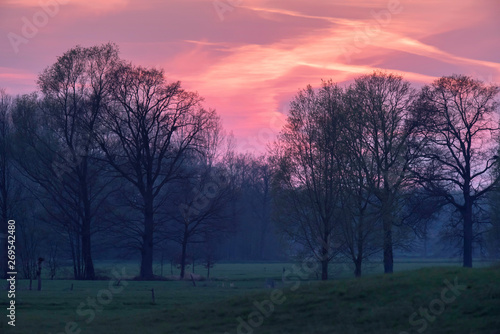 Sunset in countryside with pink sky.