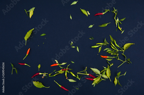 Chilli peppers and spices on the black background.