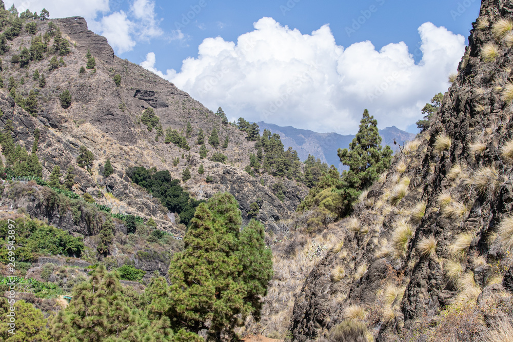 Volcanic landscape and ravine at Barranco de las Angustias, La Palma, Canary Islands, Spain