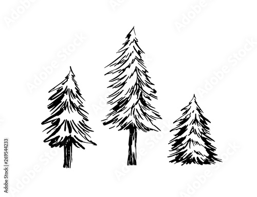 Fir trees ink sketches set vector