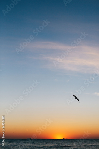 Beautiful sun rise and seagulls flying in red sky above sea waves on tropical island. Waves in ocean at sunset light. Tranquil calm moment. Summer vacation. Copy space