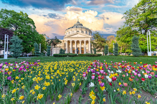 Romanian Atheneum at sunset with red and yellow flowers in front. Bucharest, Romania.