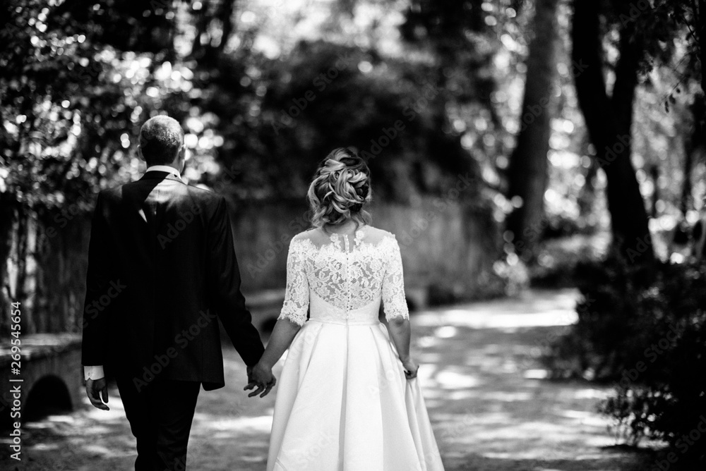 The groom in a suit and the bride in a wedding dress are walking in the park The groom in a suit and the bride in a wedding dress are walking in the park