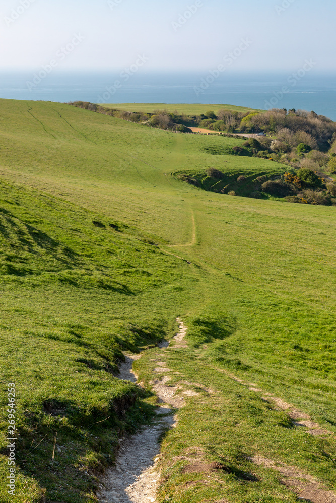 A pathway on St Catherine's Down on the Isle of Wight, on a sunny morning