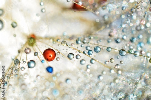 droplets photo