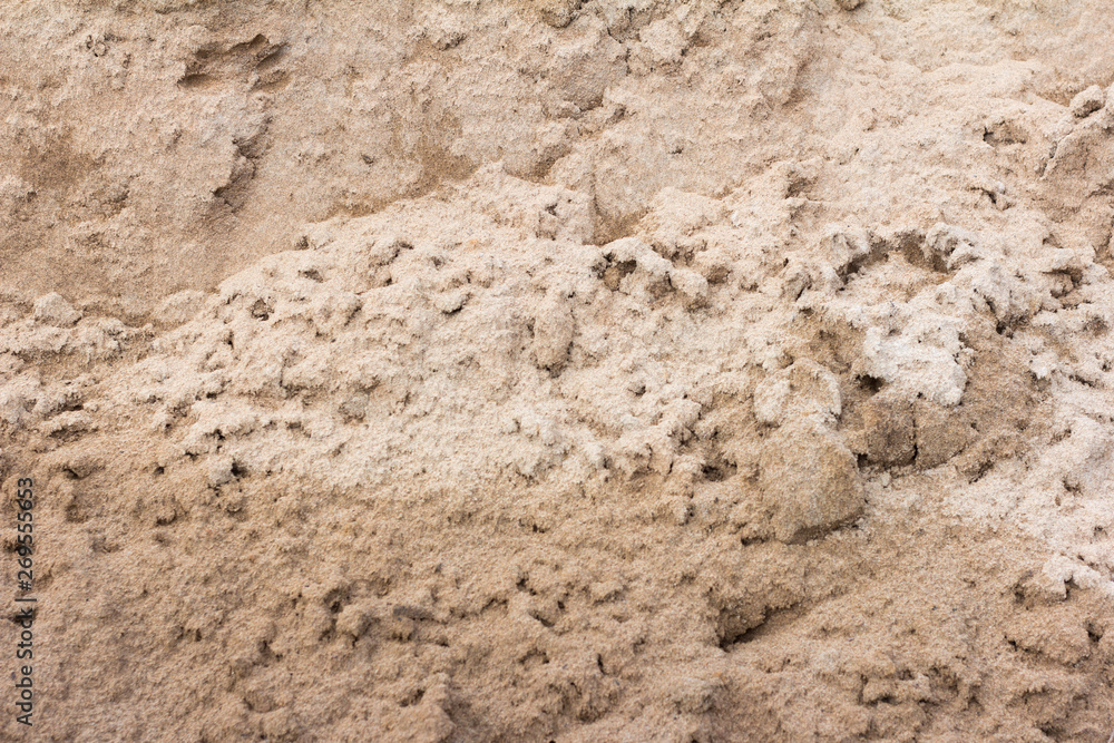 the sandy background texture of wet sand with lumps the sandy background texture of wet sand with lumps