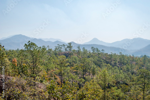 Dry forest around Pai  Thailand