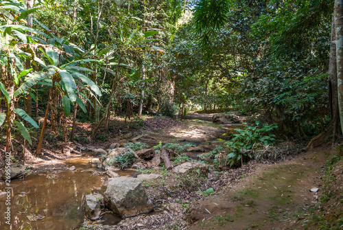 Path thru the jungle towards Waterfall