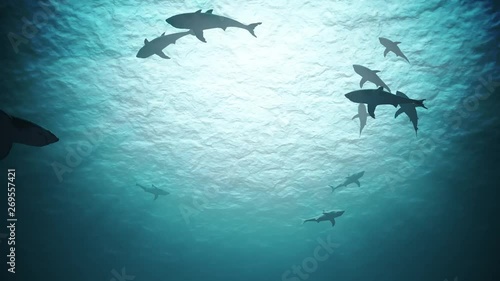 Silhouettes of sharks underwater in ocean against bright light.