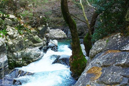 Stream from the mountain. Forest and volcanic stones around the stream. Kaz Mountains was filmed in Turkey.