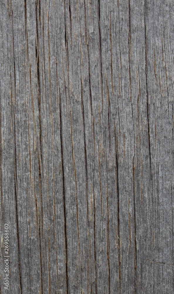 Part of the wooden buildings as a backdrop Part of the wooden buildings as a backdrop