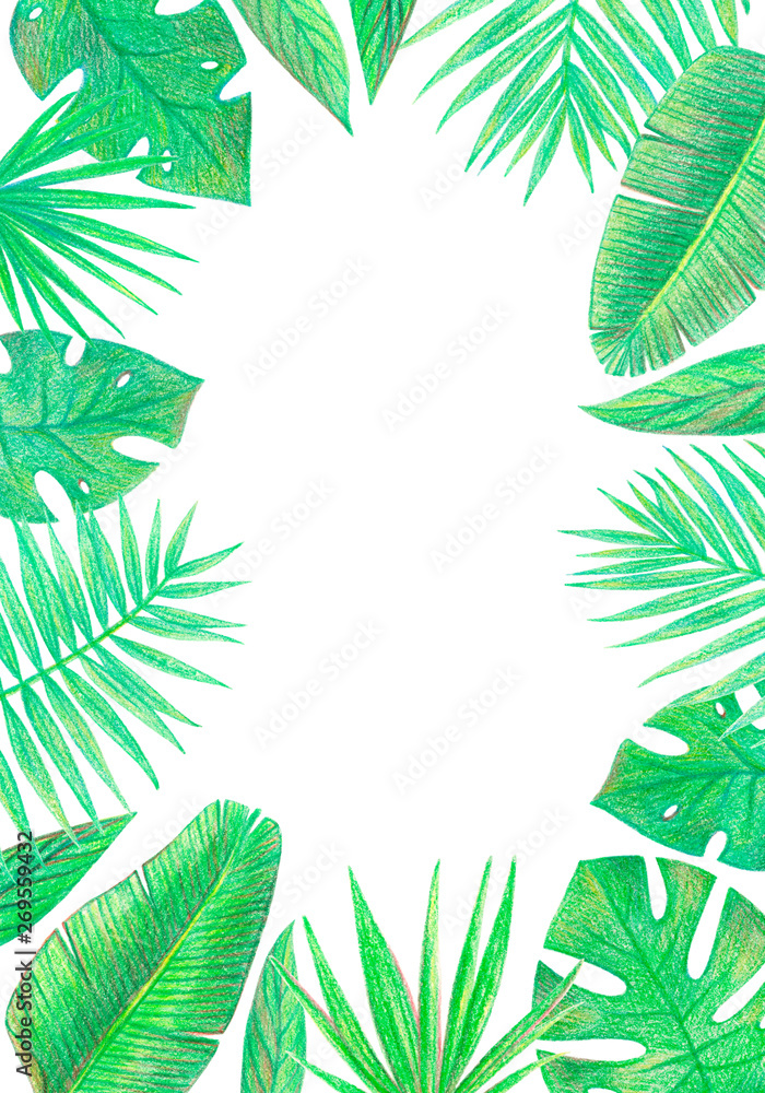 tropical exotic palm leaves frame. hand drawing colored pencils illustration. isolated elements