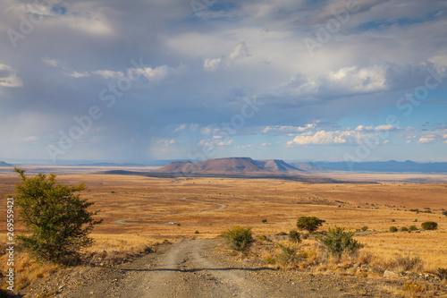 Cape mountain Zebra National Park, South Africa