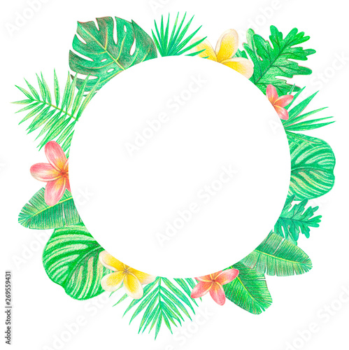 tropical exotic leaves and flowers circle frame. palm leaves and plumeria. hand drawing colored pencils illustration. isolated elements