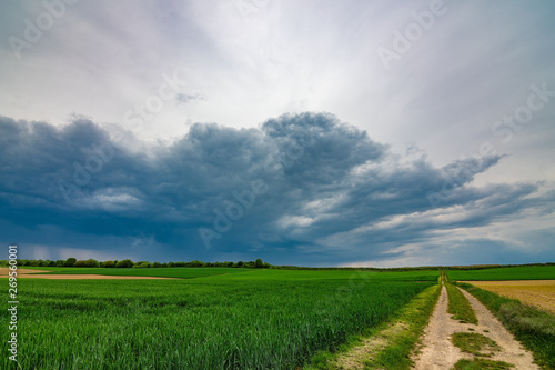 The path in the green fields with the dark, stormy clouds in the background