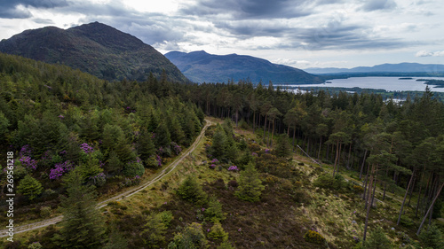 Hiking trail through mountian forest landscape of Killarney national park in county Kerry, Ireland