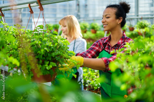 Two women working in a botanical garden