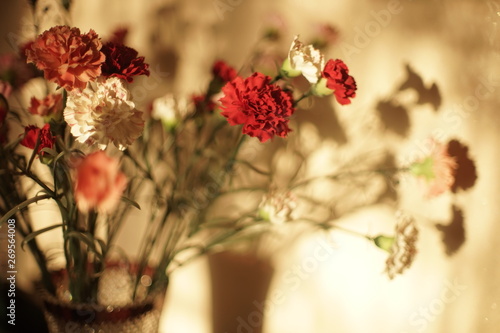 Lush bouquet of flowers asters with beautiful light and shadow