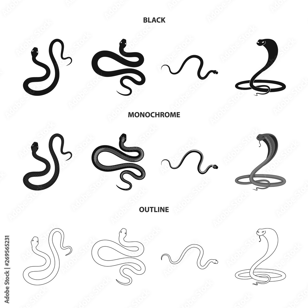 Vector design of mammal and danger logo. Collection of mammal and medicine vector icon for stock. Vector design of mammal and danger logo. Collection of mammal and medicine vector icon for stock.