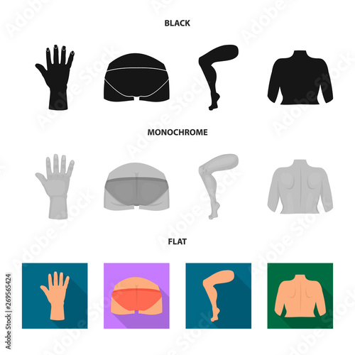 Isolated object of body and part sign. Set of body and anatomy stock vector illustration.