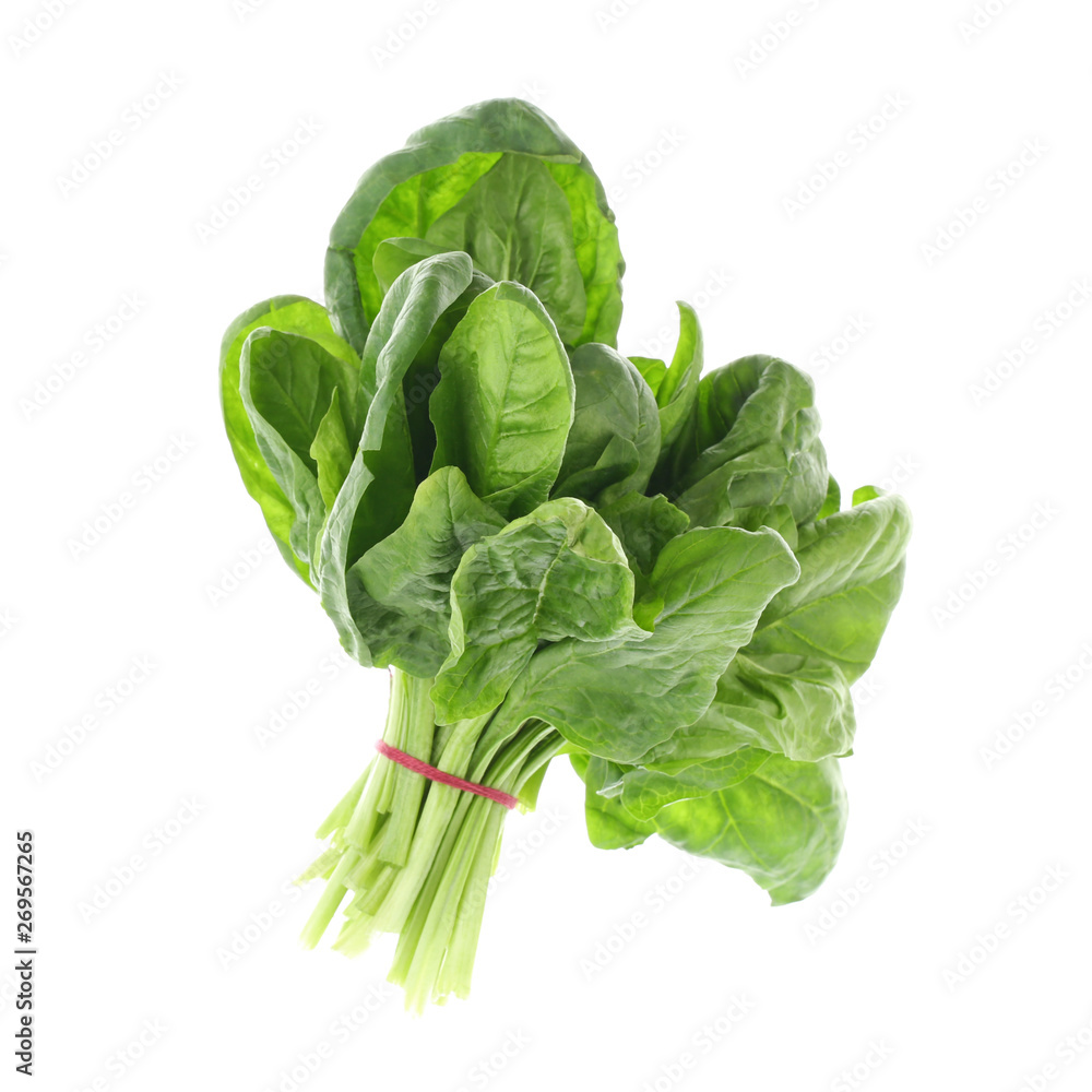 Bundle of fresh spinach isolated on white Bundle of fresh spinach isolated on white