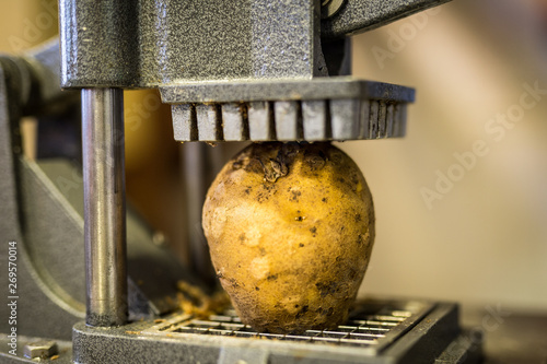 Potato Cutter