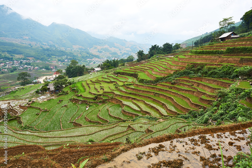 Fototapeta premium Fogy Landscape of Ricefields in lao chai sapa valey in Vietnam. Sapa, Vietnam.- 22. Mai. 2019.