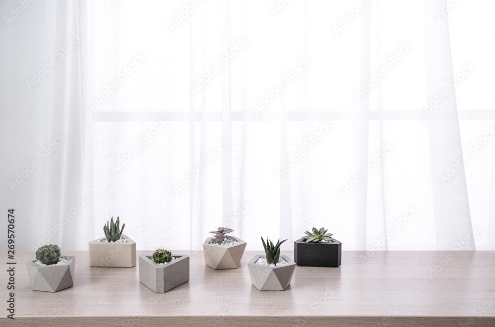 Different plants in pots on window sill, space for text. Home decor Different plants in pots on window sill, space for text. Home decor