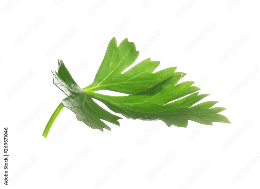 Fresh green organic parsley on white background Fresh green organic parsley on white background