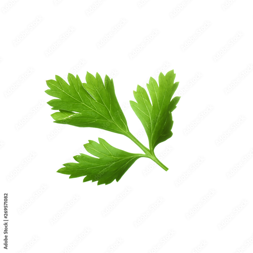 Fresh green organic parsley on white background