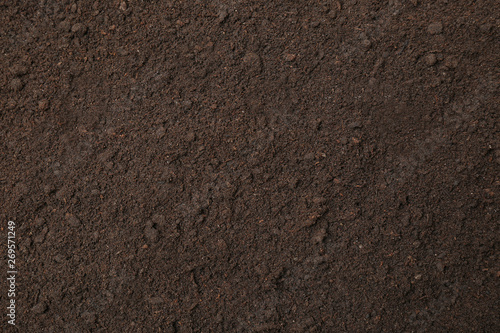 Textured ground surface as background, top view. Fertile soil