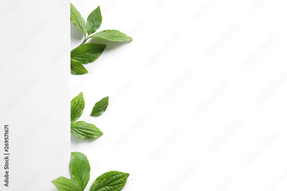 Blank card and spring green leaves on white background, top view. Space for text - obrazy, fototapety, plakaty 