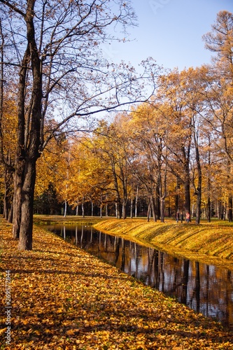 Autumn park in clear weather. Golden autumn. Autumn in the park. Yellow foliage. © alenka2194