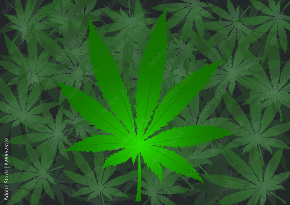 Stacked marijuana leaves
