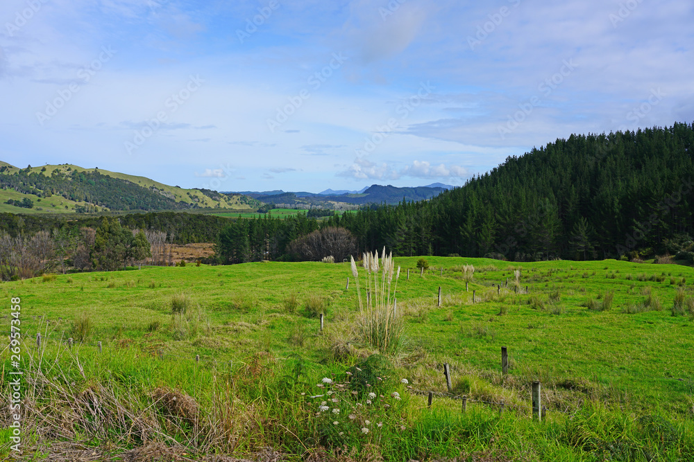 Green fields and mountains in the Far North region of the North Island of New Zealand