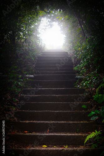 Bright light at the end of stairs through a dark, wooded tunnel