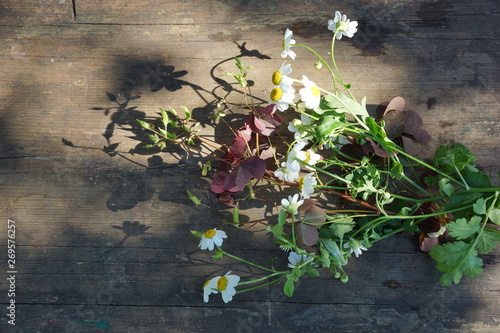rustic still life. bouquet with daisies on the background of an old wooden Board