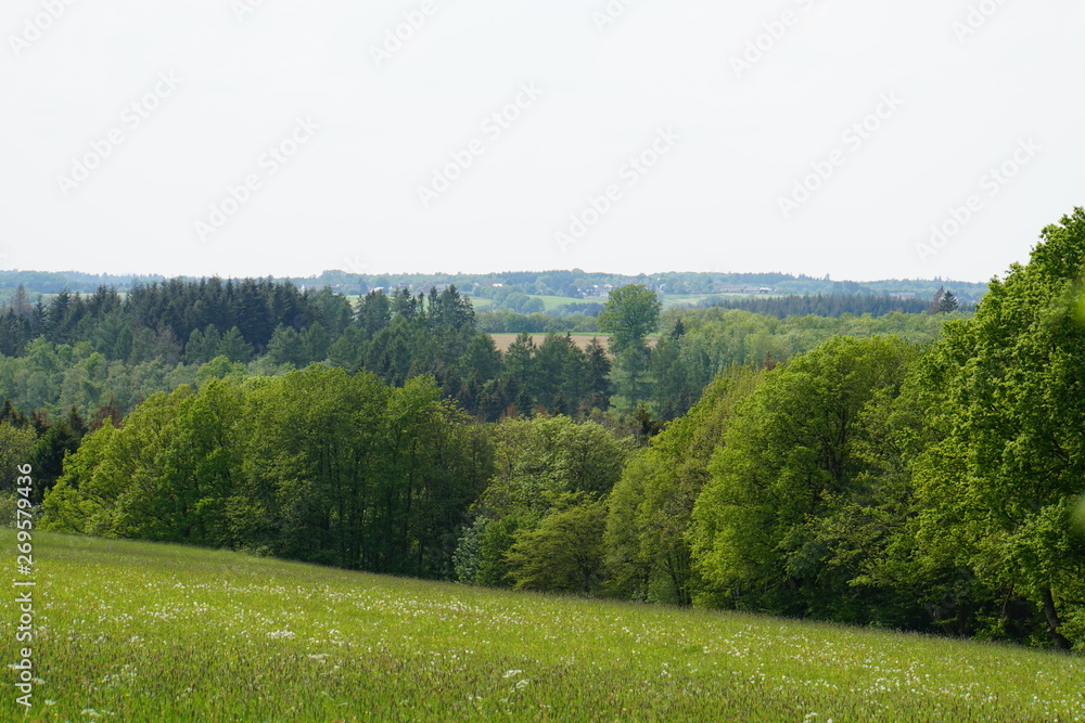 Obraz premium Ascheid